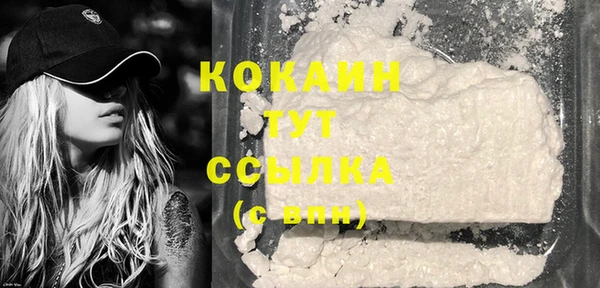 PSILOCYBIN Новодвинск