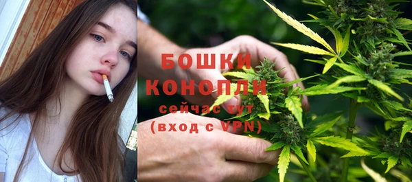 PSILOCYBIN Новодвинск
