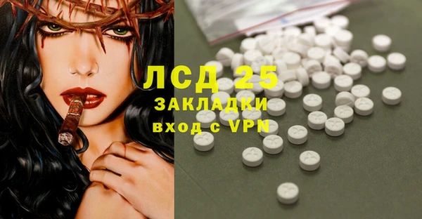PSILOCYBIN Новодвинск